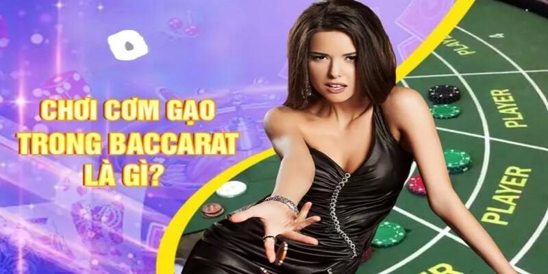 Giới thiệu về game bài Baccarat cơm gạo mới mẻ